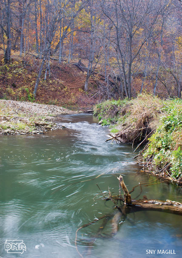Sny Magill and 9 other top destinations for fall trout fishing in Iowa | Iowa DNR